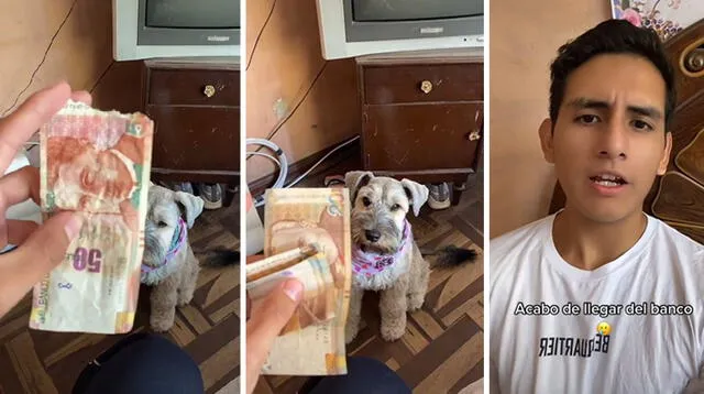 El video se hizo viral luego de que el joven publicara la tremenda travesura que hizo su mascota.