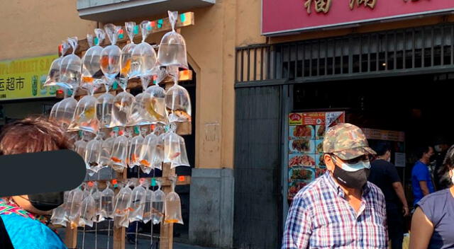 La fotografía abrió un hilo de conversaciones en la red social sobre el maltrato animal.