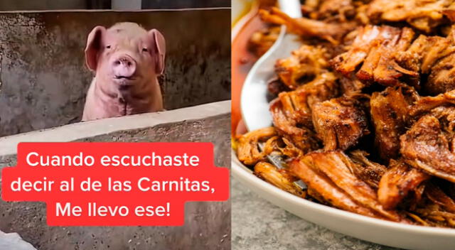 Cerdito en carnitas.