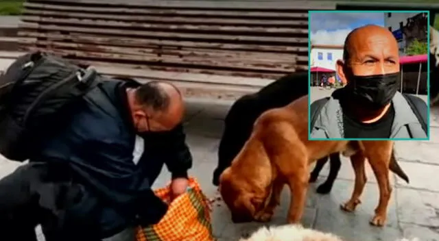 Hombre ayuda a perritos sin hogar en calles del Cusco.
