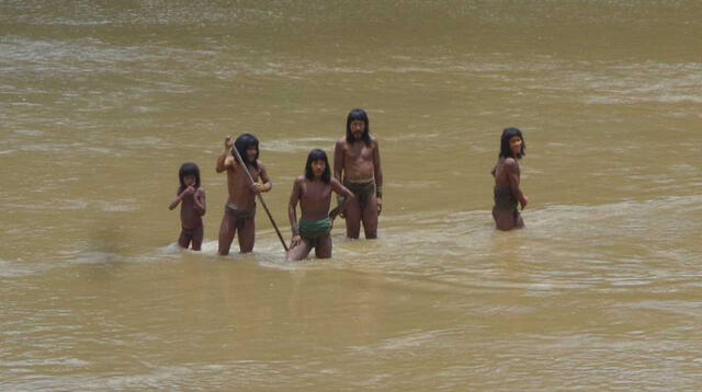 Pueblos indígenas en aislamiento alcanzan a unas 7 mil personas