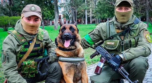 La nueva mascota del ejército de Ucrania ha sido reubicado como un perro rastreador de minas.