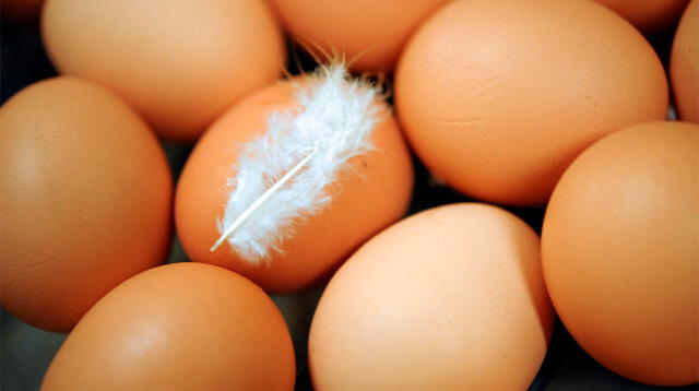 Precio del huevo: sube el kilo a S/ 7.00 en mercados de Lima [VIDEO]
