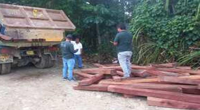 En Uncayali incautan cerca de 18 mil metros cúbicos de madera ilegal