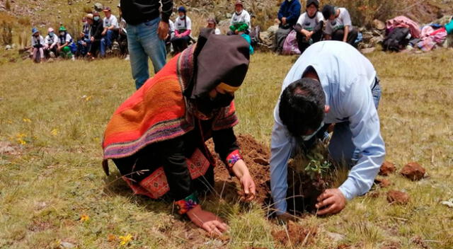 Siembra de plantones para forestación de zona turística.