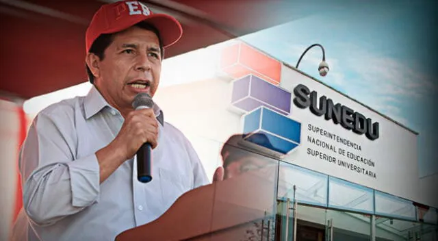 El presidente Pedro Castillo observó ley que debilita la autonomía de la Sunedu.