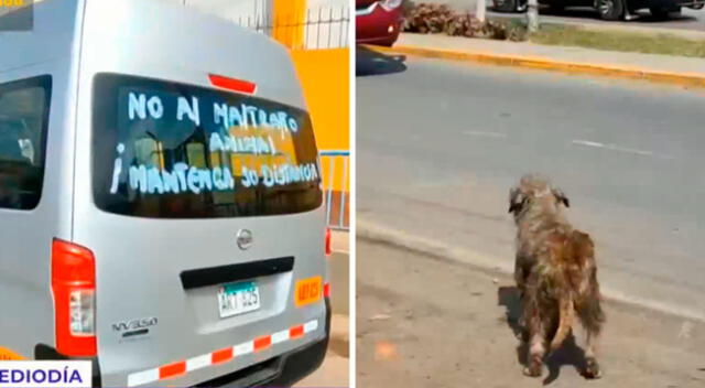 Los conductores buscarán que otros trabajadores del mismo rubro puedan sumarse a la campaña y lograr que menos perritos sean atropellados .