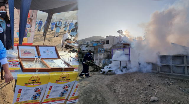 Personal del Minsa acude a cementerio para realizar tareas de fumigación por el dengue.