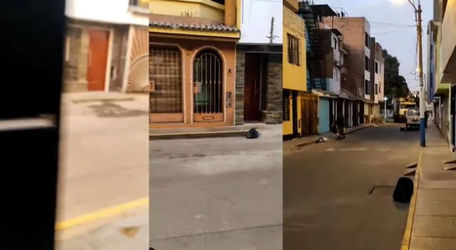 Peculiar escena grabada en una calle se hizo viral en las redes sociales.
