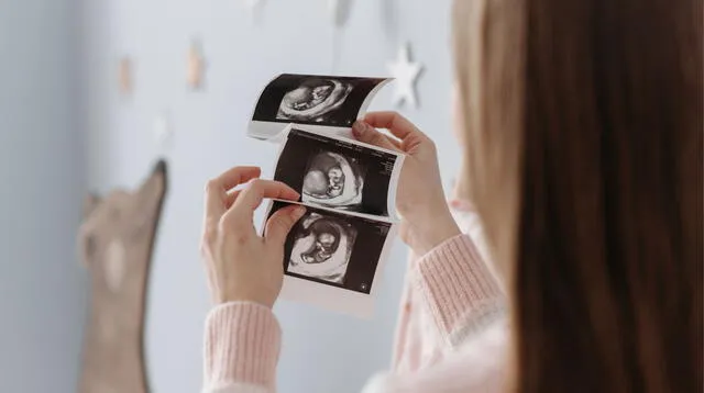 Cada 4 de junio se conmemora el Día Mundial de la Fertilidad.   