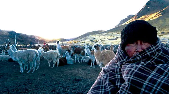 Junín: a causa de la helada, en un año infecciones respiratorias se incrementan en  100%