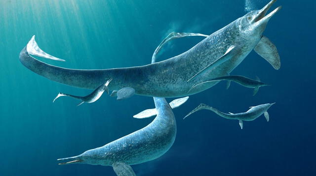 Eran grandes réptiles marinos que se parecían a los peces y del delfín Crédito: National Geographic   