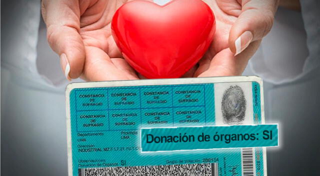 Congreso: plantean que decisión de donar órganos no pueda ser cambiada por familiares