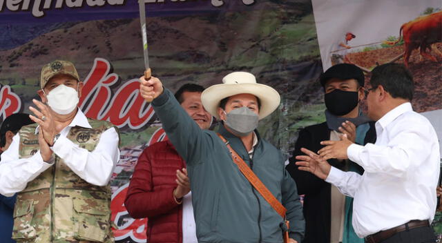 Pedro Castillo: “Hemos llegado a dirigir los destinos del país sin robar un centavo al Perú”