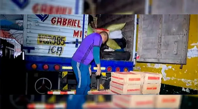 Paro de transportistas: mercadería llega con normalidad al Mercado de Frutas [VIDEO]