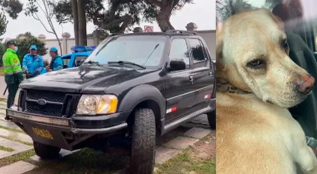 Magdalena: sujeto encierra a perrito en camioneta para usarlo como alarma