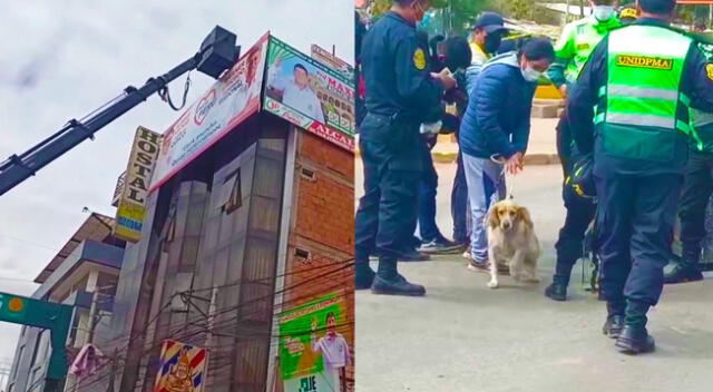 Cusco: rescatan a animalitos atrapados en azotea de edificio que está a punto de colapsar [VIDEO]