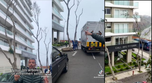 Miraflores: denuncian tala de árboles que obstruían vista al mar de moderno edificio residencial [VIDEO]
