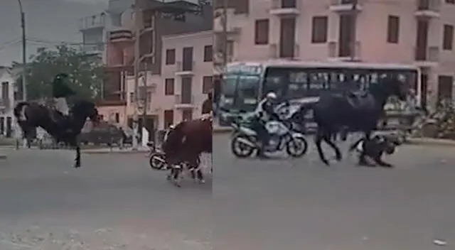 Policía a caballo sufre aparatoso accidente