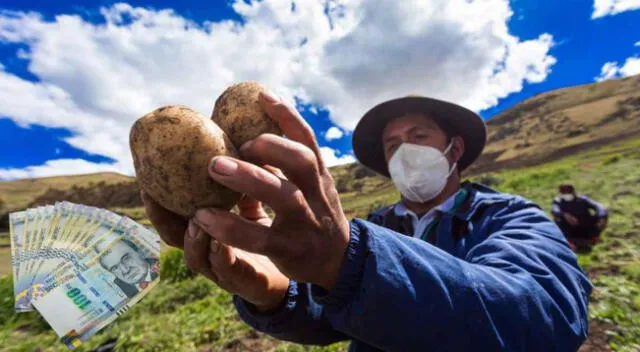 El Bono Alimentario está dirigido a las familias de bajos recursos económicos que se han visto afectados ante la crisis alimentaria global.