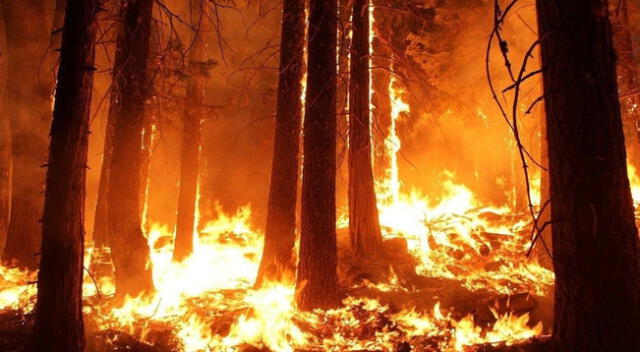 Soñar con un incendio da cierto grado miedo.