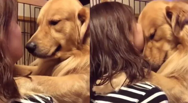 Particular escena del perro se hizo viral en las redes sociales.