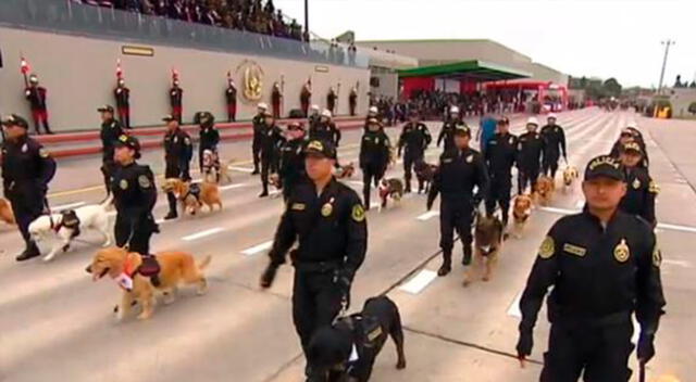 Desfile Militar: Unidad Canina de la Policía Nacional del Perú se hace presente [VIDEO]