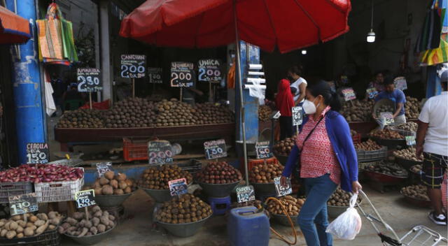 El mandatario Pedro Castillo anuncio en el mensaje a la nación, este apoyo económico.