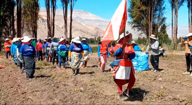 Los usuarios de Facebook saludaron el patriotismo de los trabajadores del agro, quienes manifestaron su amor por la patria desde el campo.