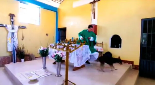 Cuando se retiraba el can, el sacerdote lo pateó en los genitales.