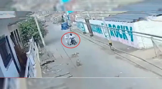Chincha: intentan robar S/10 mil a policía en retiro pero terminan huyendo [VIDEO]