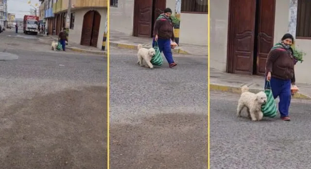 La escena se ha robado miles de suspiros en la popular plataforma de vídeos llegando a miles de vistas.