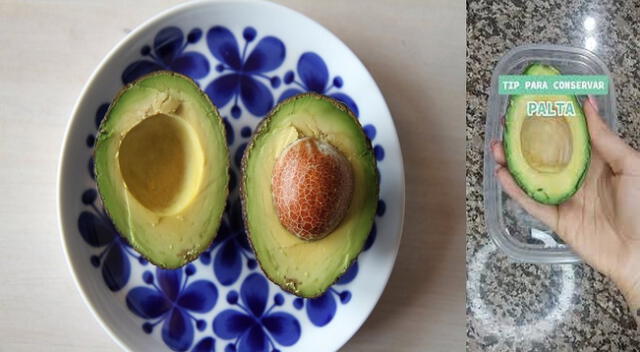 Aprende a conservar la palta.