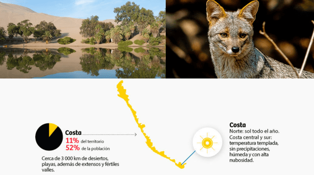 Conoce el clima subtropical, la riqueza de fauna y la diversidad de flora que caracterizan a la región Costa peruana.