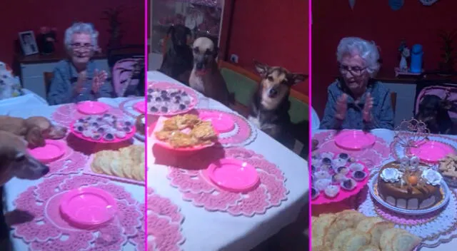 La adulta mayo celebró su cumpleaños junto a sus mascotas.