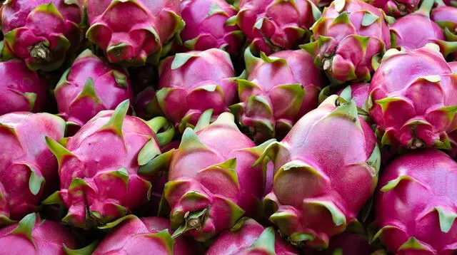  El nombre de la pitaya proviene de la lengua taína, en la que significa fruta con escamas. Foto: Alimente   