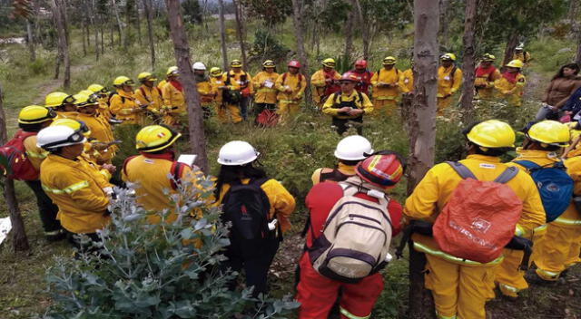 Proyecto de inversión busca la prevención de incendios forestales
