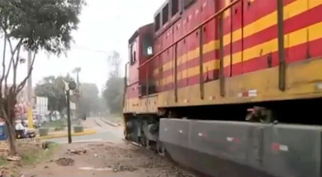 Santa Anita: hombre es arrollado por un tren tras quedarse dormido en el riel y sobrevive de milagro [VIDEO]