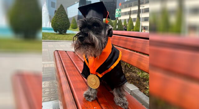 Suna Yana publicó en su cuenta de Instagram la instantánea, donde se ve a ella y a su engreído, Milo, vestidos con sus respectivos trajes de graduación.