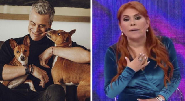 Magaly Medina preocupada por los perritos de Diego Bertie.