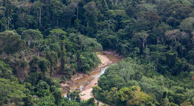 El Perú es uno de los diez países del mundo con mayor superficie de bosques tropicales.