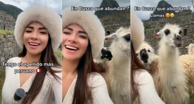 Joven visita Machu Picchu y escena se ha vuelto viral en las redes sociales.