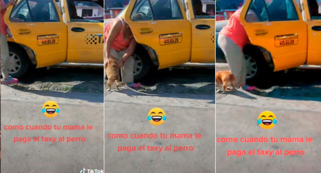 El video se ha vuelto viral en las redes sociales.