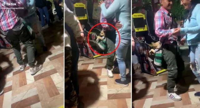 La escena del perrito dentro de un morral y su dueño bailando se robó las miradas de miles de usuarios en TikTok.