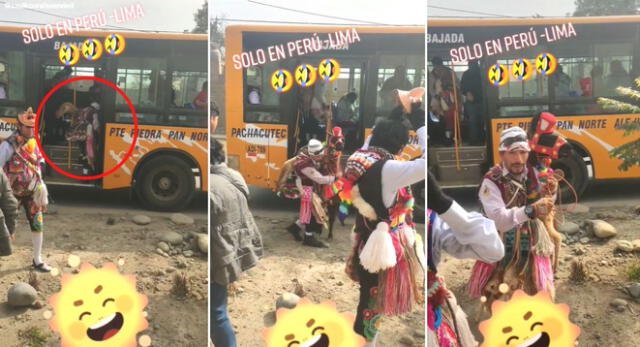 La peculiar escena de la llamita bajando del bus ha enternecido a miles de usuarios en TikTok.