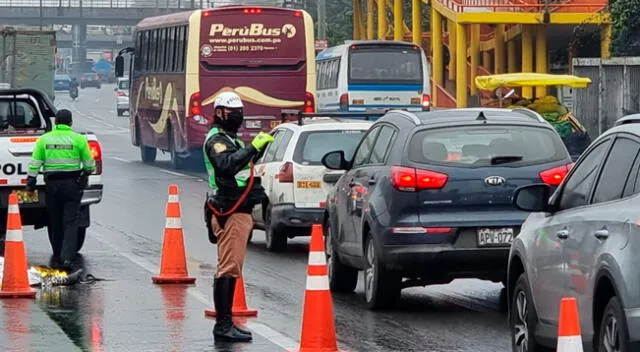 Panamericana Sur: la víctima se despistó debido a la intensa lluvia.