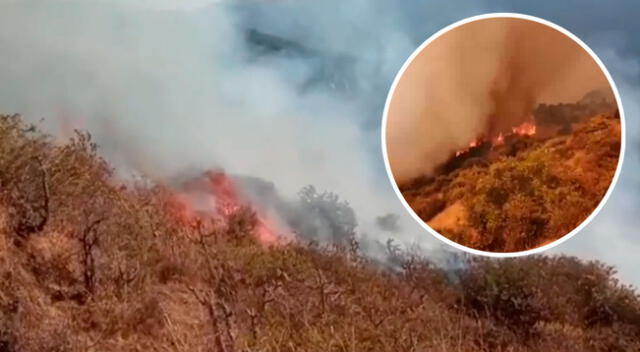 El incendio forestal en Huaral viene dejando hasta el momento dos fallecidos.