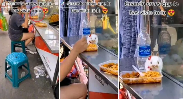 La joven peruana estaba comiendo chanfainita en carretilla junto a su conejito y se volvieron tendencia en TikTok.