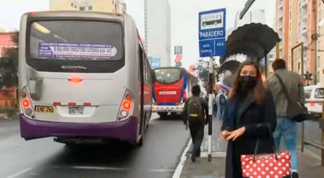 Buses del Corredor Morado en el ojo de la tormenta.