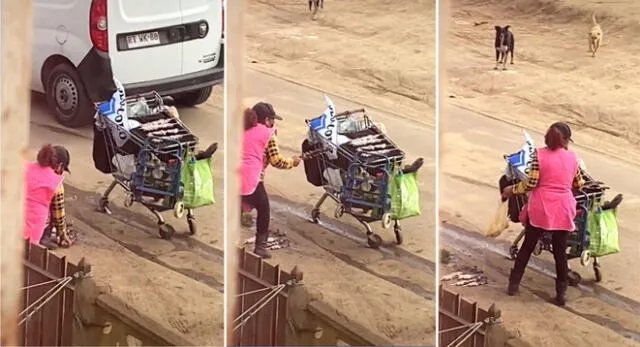 La señora fue captada por un vecino que vio cómo recogía los anticuchos del piso y los ponía sobre su carrito.